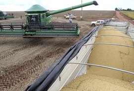 Conab estima colheita de 264,8 milhões de toneladas de grãos