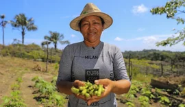 Cooperativas de crédito aumentam rentabilidade no campo