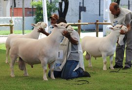 Presidente da Faeal destaca sucesso da Expoalagoas Genética