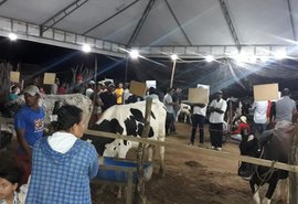 VI Torneio Leiteiro do Povoado Ribeira premia pequenos produtores da região