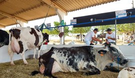 Abertura da 37ª Expo Bacia é marcada pela expectativa de retomada do setor