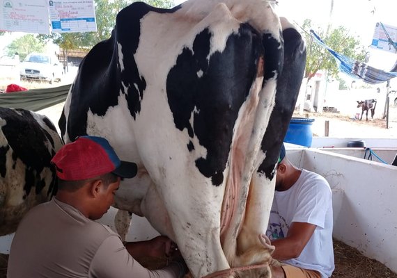 CPLA participará ativamente do Agronordeste