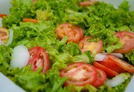 Seduc divulga lista de cooperativas desclassificadas e diligenciadas em edital