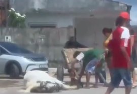 Imagens de maus-tratos a cavalo em Maceió viralizam e geram investigação