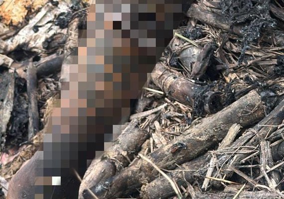 Corpo carbonizado é encontrado em canavial no Cruzeiro do Sul, em Alagoas