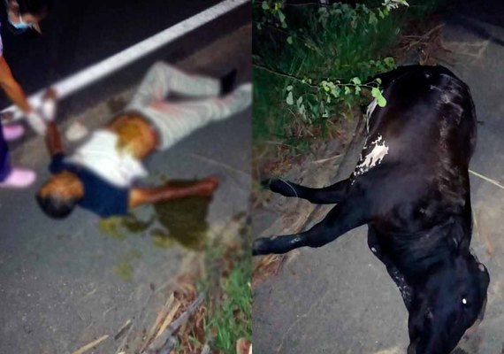 Motociclista morre ao bater em vaca na zona rural
