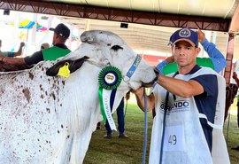 Orgulho alagoano: Expoagro celebra 75 anos com inovação, tradição e geração de empregos