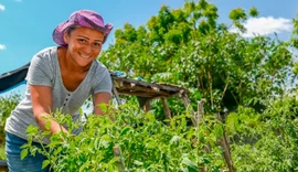Coopera Mais Brasil fortalecerá o cooperativismo na Agricultura Familiar
