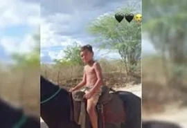 Criança morre após ser atingida por coice de cavalo no Sertão de Alagoas