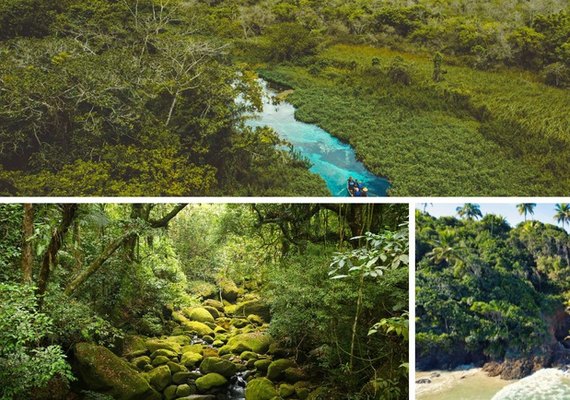 ﻿Alagoas se destaca entre destinos para quem busca contato com a natureza