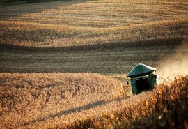 Valor da Produção Agropecuária fecha 2022 em R$ 1,189 trilhão