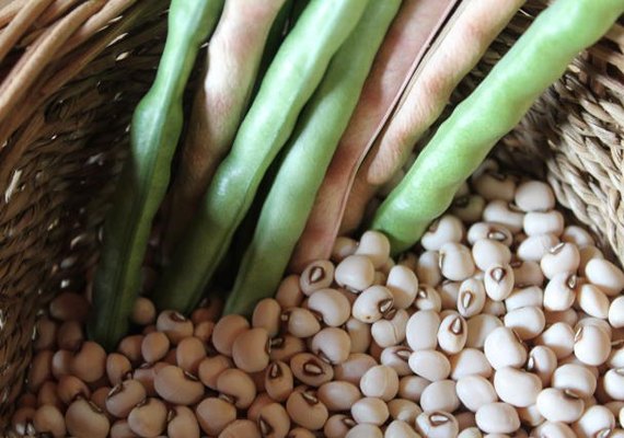 Agricultores familiares já podem consultar produtos com direito a bônus do PGPAF