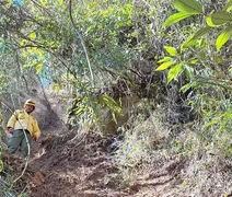 Após oito dias, incêndio no Parque Nacional do Itatiaia é extinto