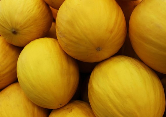 Nordeste se destaca na produção nacional de dez culturas agrícolas