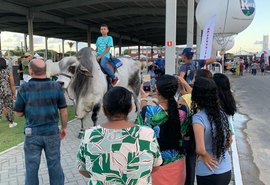 Confira a programação da Expoagro para este domingo, 22