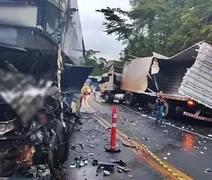 Colisão entre ônibus e carreta deixa 1 morto e 8 feridos na BR-116 em MG