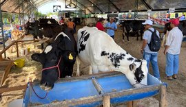 Expo Bacia é considerada a maior exposição da pecuária leiteira de Alagoas