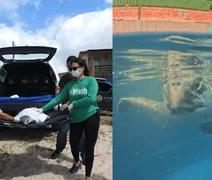 Após meses em reabilitação, tartaruga-oliva é devolvida ao mar em Alagoas