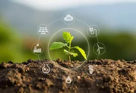 Sustentabilidade e retomada das parcerias internacionais aumentam perspectivas do agro brasileiro