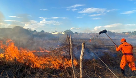 Corpo de Bombeiros atua no combate ao fogo em vegetação e alerta para prevenção