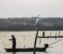 Sexto lote do seguro-defeso será disponibilizado na terça-feira