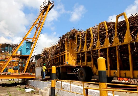 Safra 18/19 já conta com cinco usinas em atividade