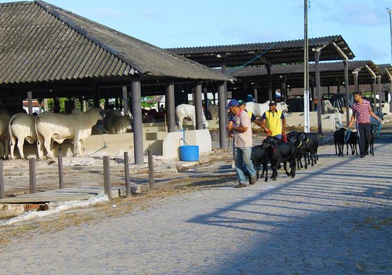 8ª Expoalagoas Genética divulga programação completa