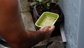El Niño pode elevar casos de chikungunya e dengue no Brasil