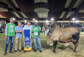Julgamentos da Expoagro-AL reforçam protagonismo do estado na genética animal do Nordeste