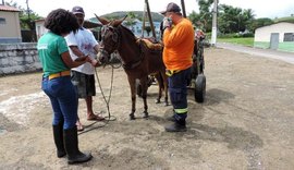 Estudantes da UFAL se unem para atender animais em cidades afetadas pelas chuvas