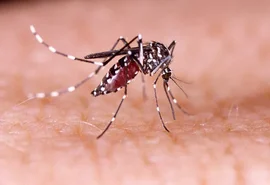 Casos prováveis de dengue se aproximam de 400 mil no Brasil em 2024