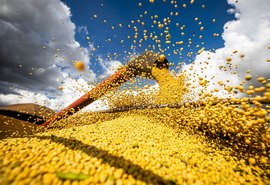 Produção de grãos no Brasil pode atingir recorde de 358,6 milhões de toneladas