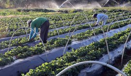 Cooperativismo com produção sustentável é pauta apresentada ao Governo Federal