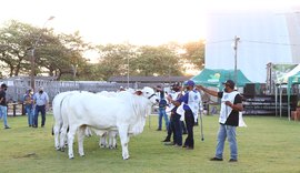 70º Expoagro/AL já é sucesso no agro brasileiro em 2020