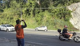 Defesa Civil identifica 58 árvores em situação de risco em Maceió