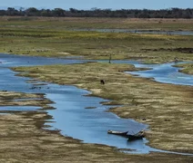 Alagoas é um dos estados do NE onde a seca mais se intensificou, aponta monitor