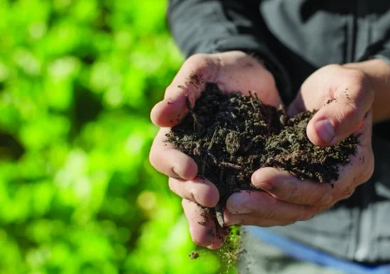 Lei amplia garantias e crédito para o Pronaf