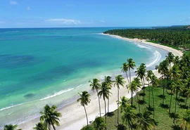 Praia do Patacho é destaque em solenidade de certificação do Bandeira Azul