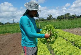 Secretaria de Agricultura prorroga Censo Rural Alagoas até o dia 27/03