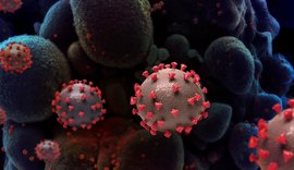 Boletim Epidemiológico registra duas mortes por Covid-19 neste domingo (7)