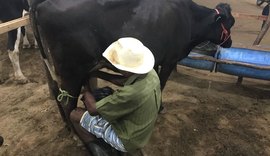 Torneio Leiteiro aponta resultados da produção na agricultura familiar