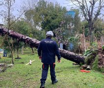 Chuvas deixam mais de 700 desabrigados no Rio Grande do Sul
