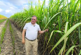 Fazenda Santo Antônio revoluciona o cultivo de cana com plantio direto em Alagoas