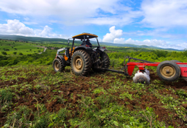 Prefeitura de Traipu concede auxílio emergencial a agricultores e produtores