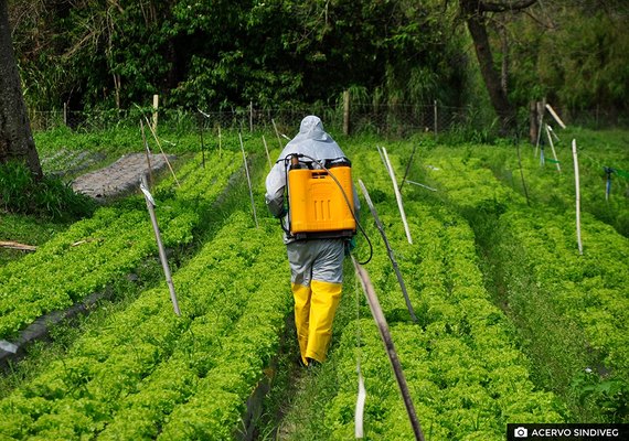 Agricultor precisa usar somente defensivos registrados para evitar prejuízos, diz especialista