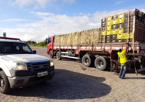 Adeal passa a emitir Permissão de Trânsito Vegetal eletrônica