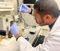 Pesquisa da Ufal rende cinco patentes para agricultura e saúde