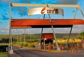 Usina Coruripe é destaque nacional pela produção de cana-de-açúcar