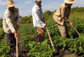 Balanço Social: Tecnologias sustentáveis evoluem em Sergipe e Alagoas