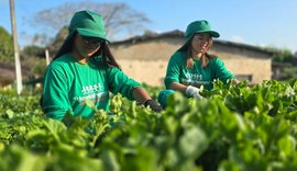 Cooperativa Pindorama vai sediar Feira Agro Bradesco 2024